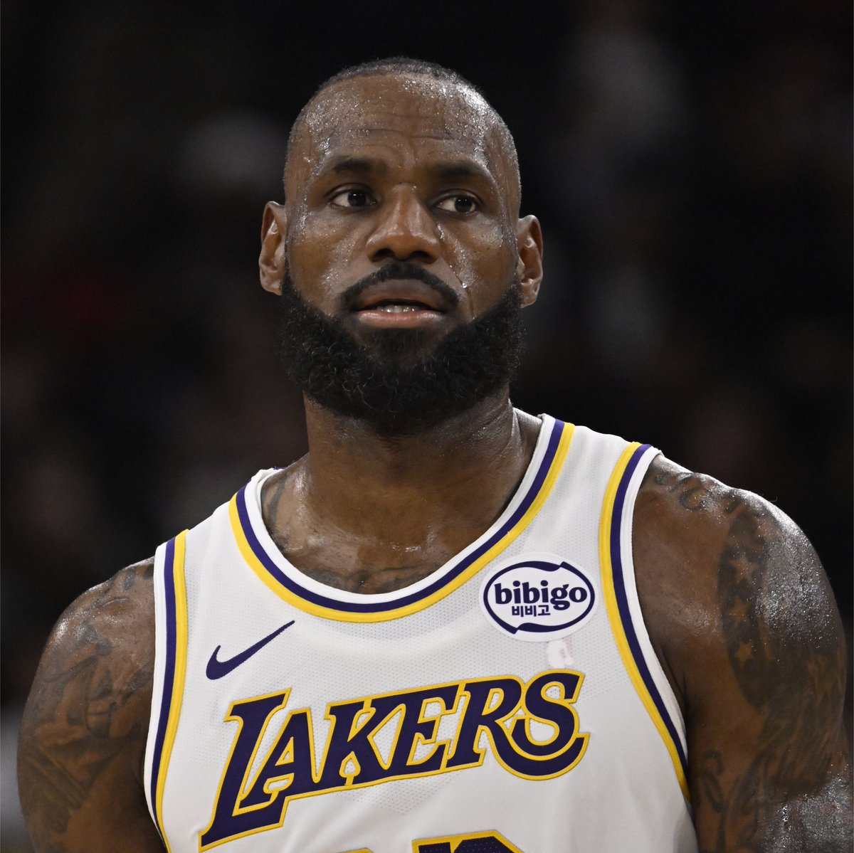 Legion Hoops tweet media