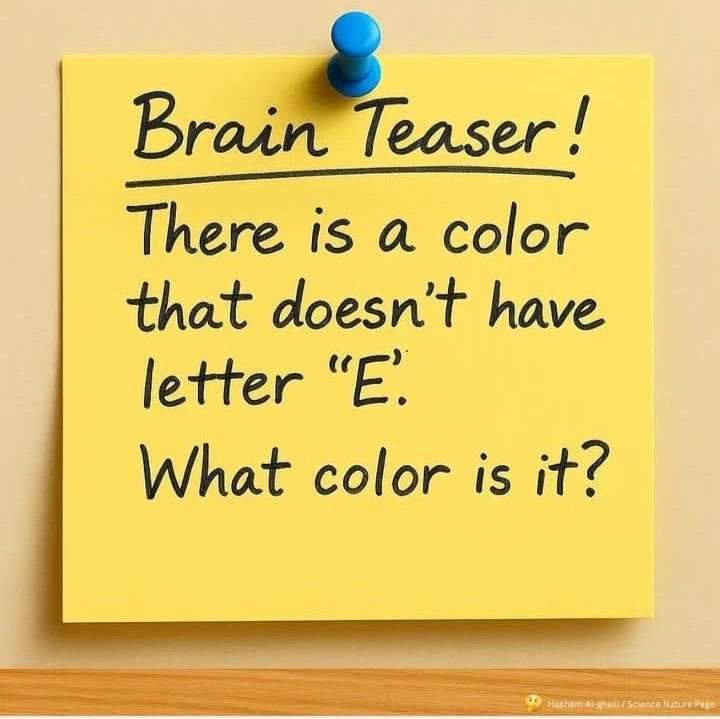 Can You Guess? tweet media
