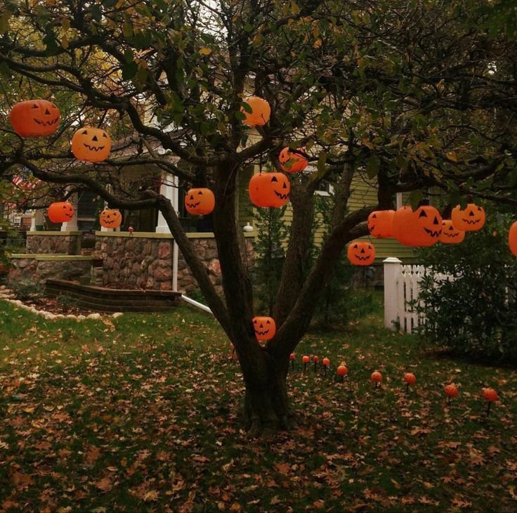 JasSpookyLover's tweet photo. https://t.co/SaSefYFQHX