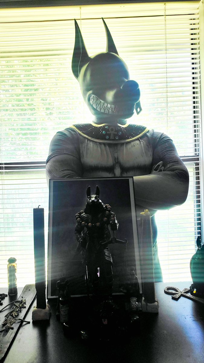 Myles_ToyBox's tweet photo. I shall continue to serve Anubis, like the good boy I am! https://t.co/kGArdOkY0n
