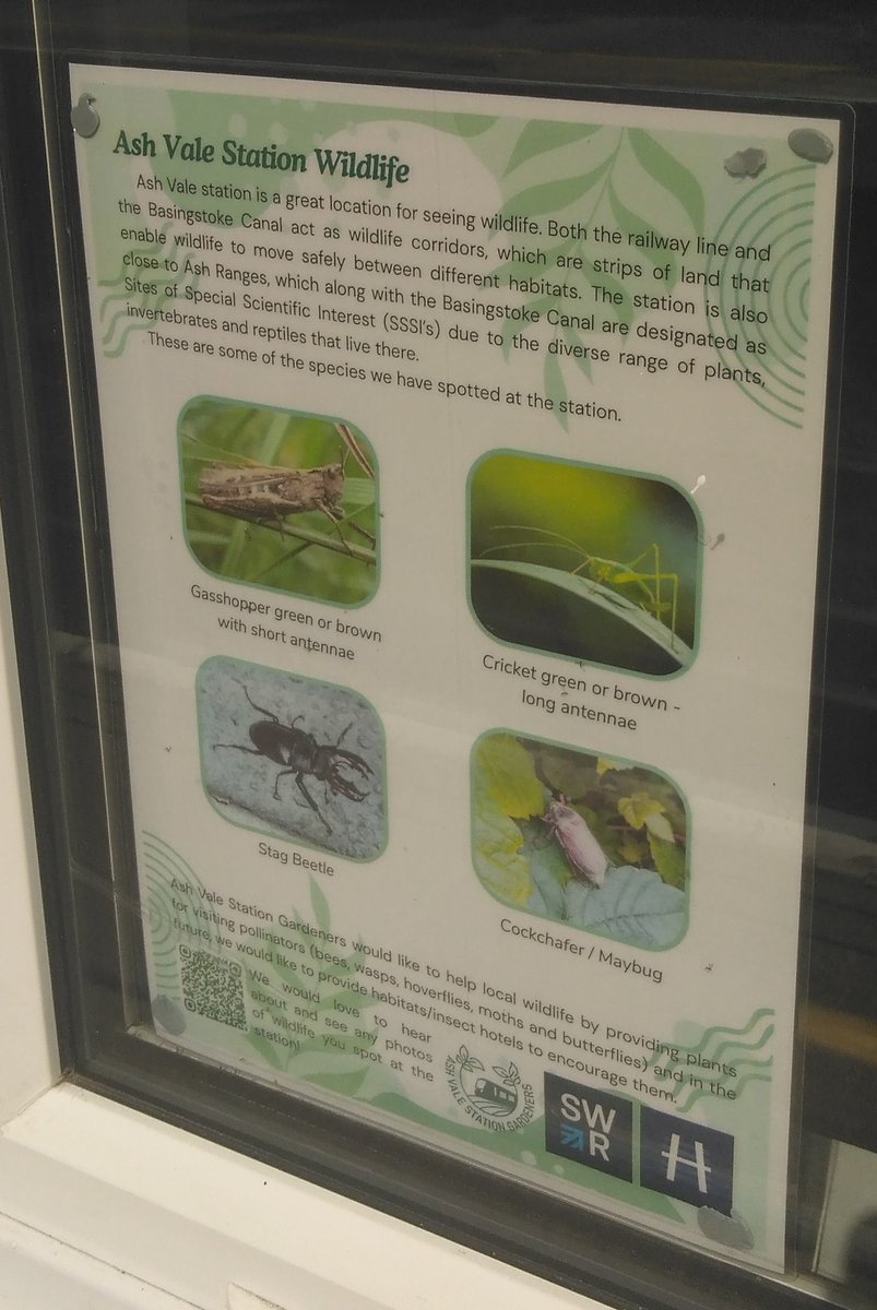 second_mary's tweet photo. @nattsvargr I found more posters about critters near the train station and look they have those stag beetle fellows you mentioned some time ago https://t.co/FdSFtZhs8L