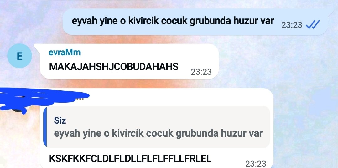 blumdetulp's tweet photo. evlerde huzur yok ama bizde var (gun icinde 7 sey hakkinda konusup mukayese eyliyoruz) https://t.co/Er9v61l3Ws