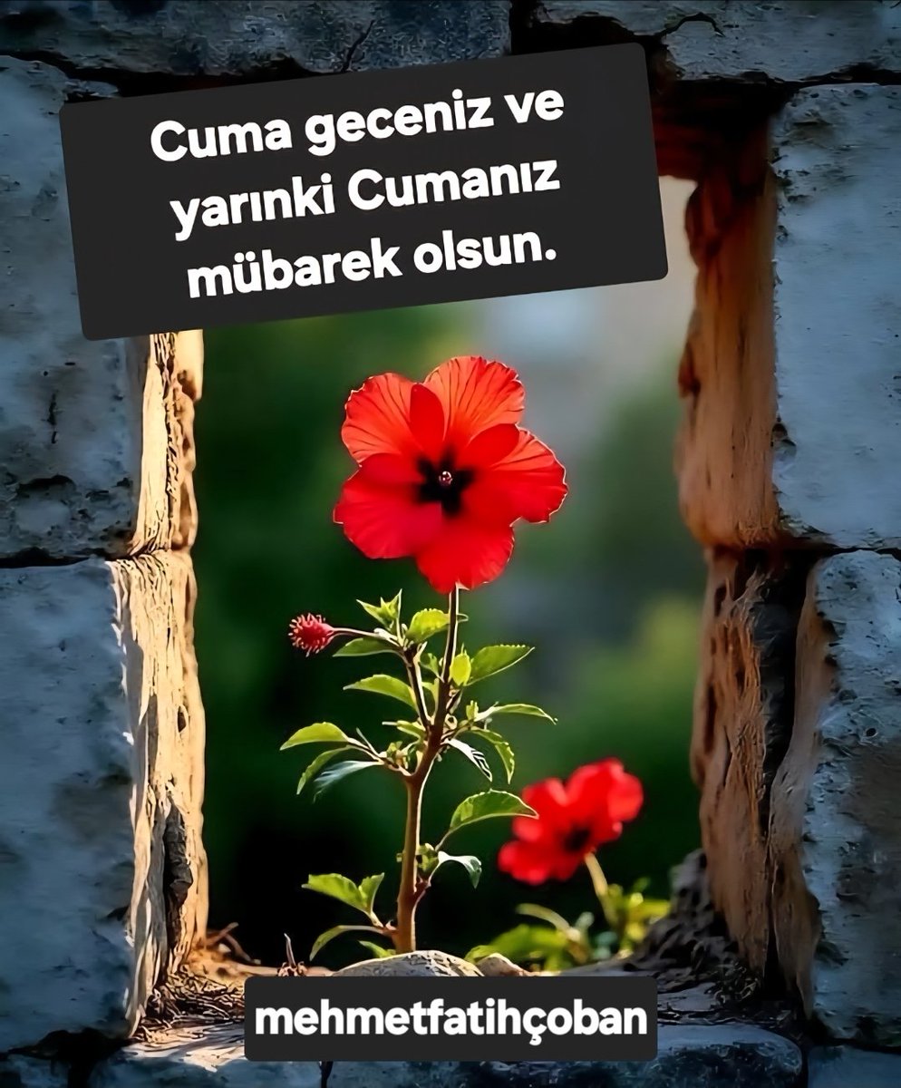GUZELFETIH29's tweet photo. https://t.co/mXQj5ZdptE