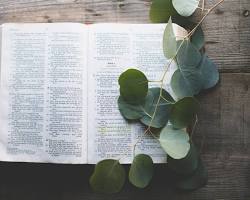 imsoblessed_001's tweet photo. 🎁 ₦1,000 Giveaway 🎁 to 3 persons.

Drop the Bible verse that carried you through a difficult season. 📖

Your comment might be the encouragement someone needs today.

I'll be in the comment section ❤️

Follow + Like + Retweet https://t.co/JfYGeLdf0e