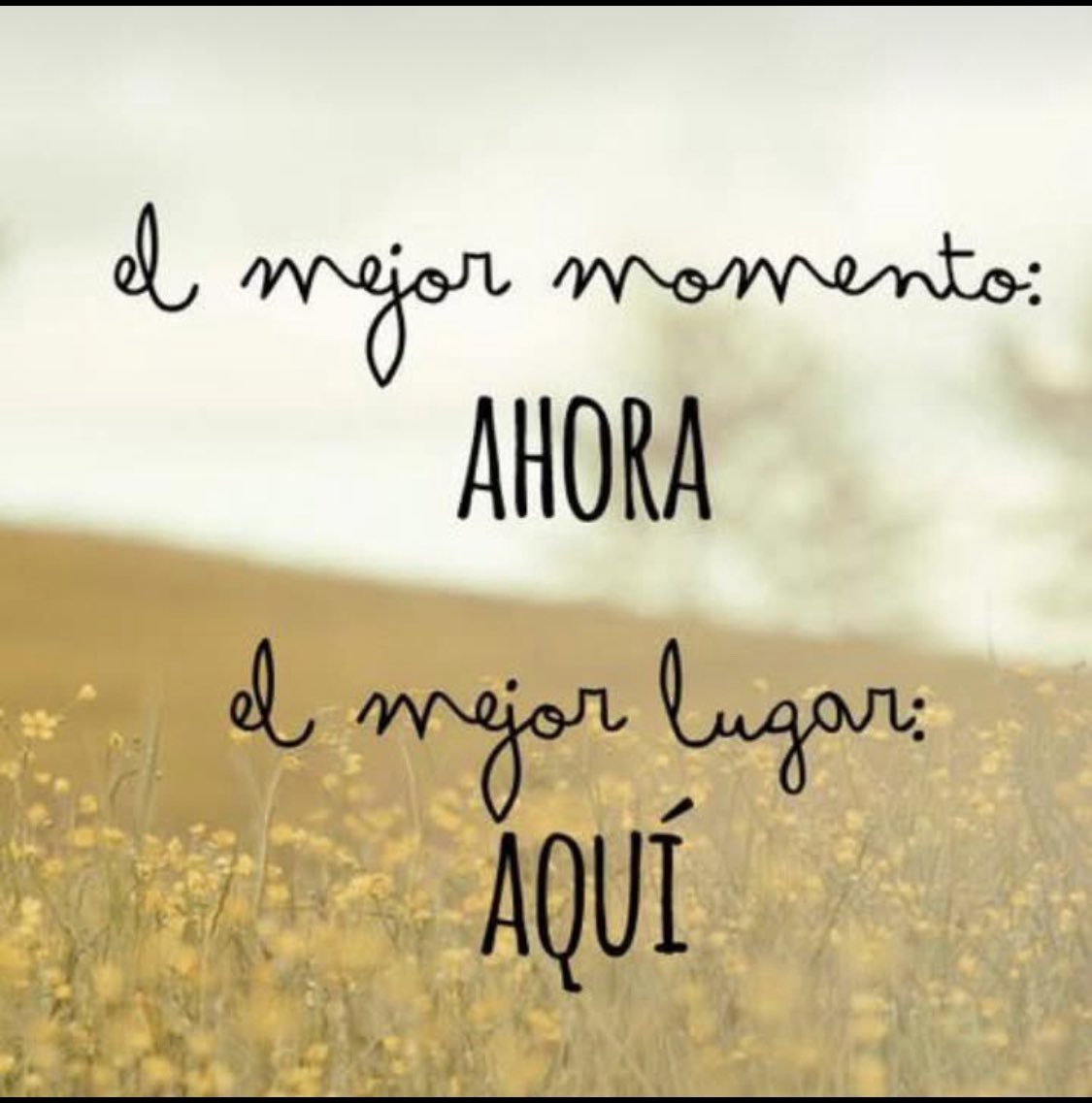 Adriana Paola tweet media