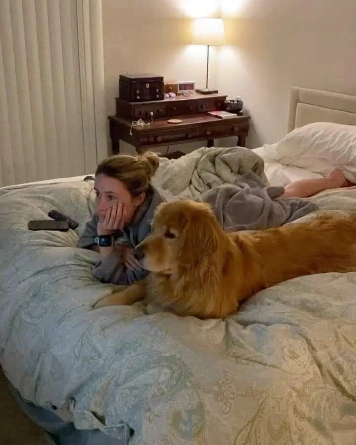 Katepaws tweet media