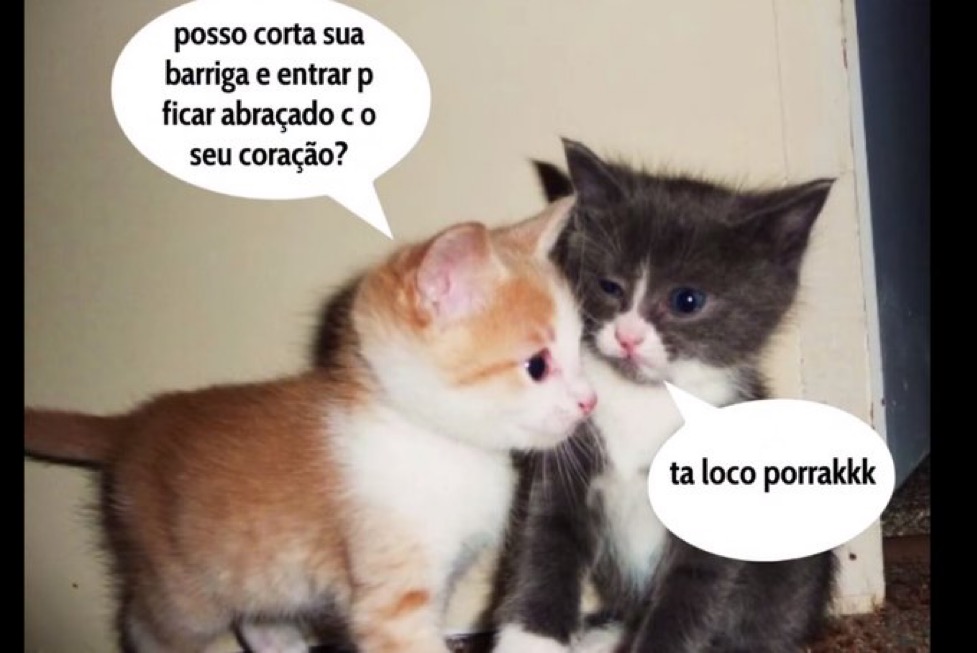 Relacionemos tweet media