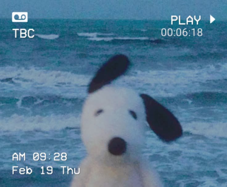snoopy tweet media