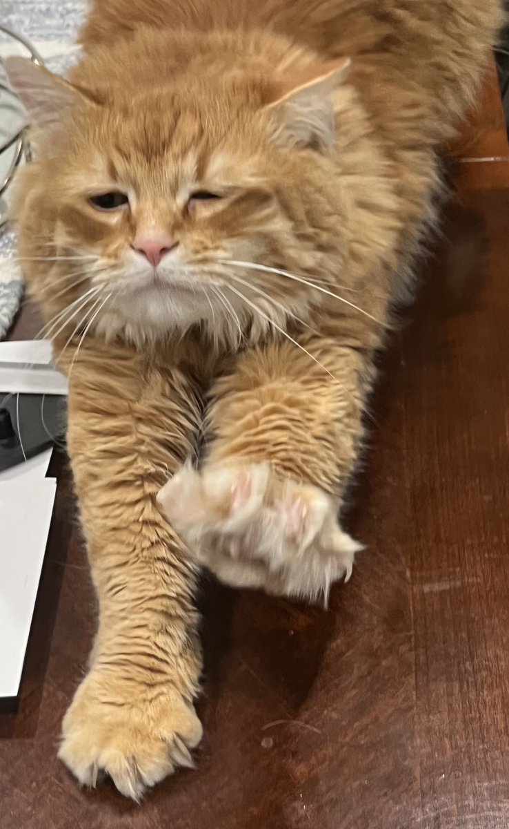 AJamesMcCarthy's tweet photo. Gregory was devastated to learn I’ll be home a day late. Sorry buddy! I can’t control the weather 😩 https://t.co/pqGXVjaBNU