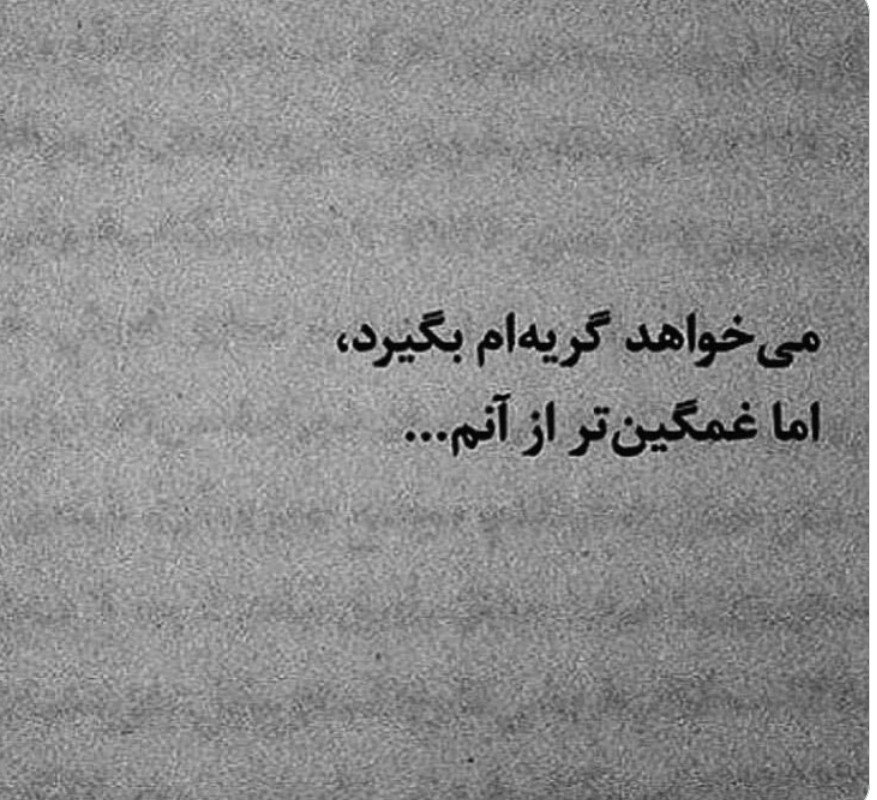 شهروند ساده tweet media