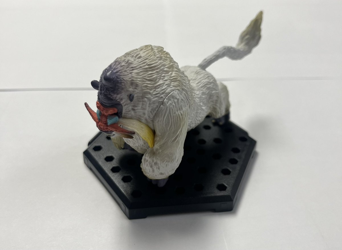 monchiemonki's tweet photo. MONKE https://t.co/R0j7W2JE0i