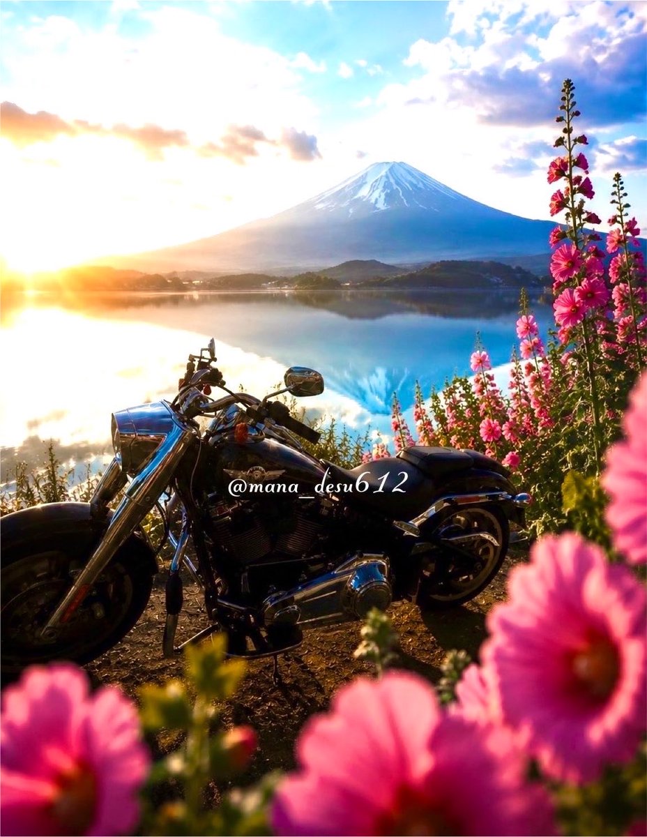 mana_desu612's tweet photo. 🌷🌸🏍
*
お  は  よ  う  ご  ざ  い  ま  す
*
（｣｡>Д<)キンキンキラキラ金曜日✨
（｣｡>Д<)キンムギキラキラ金曜日🍺
٩( ᐛ )🍻( ᐖ )۶ｶﾝﾊﾟｰｲ🌷毎日暑すぎです🥵🔥どこでもドア🚪🏍移動も熱風があたります💦(/｡'(ｪ)')金曜日もよろしクマ🧸🎀 

https://t.co/MlFkF8xvBj https://t.co/WcKD5G86to