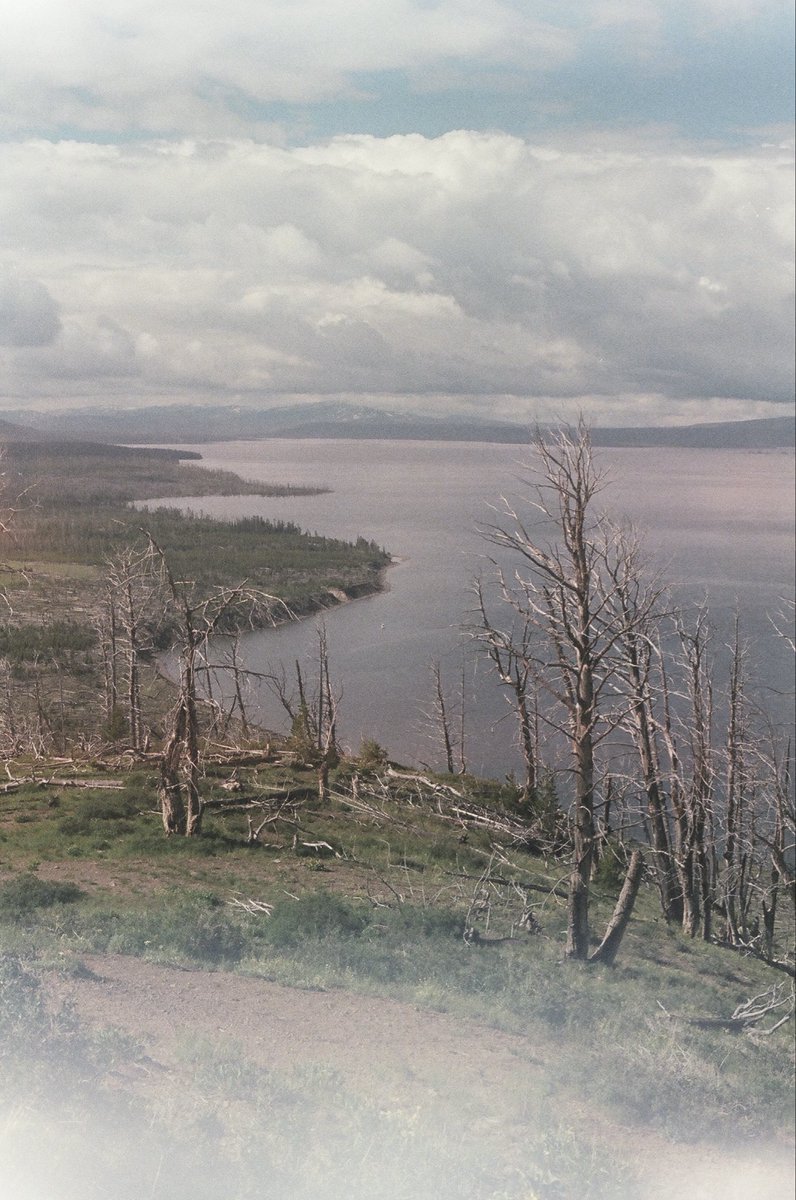 cobbsaladfan's tweet photo. Yellowstone on film with horrible light leak because I had to change the film in a moving car https://t.co/VPujEijzmT
