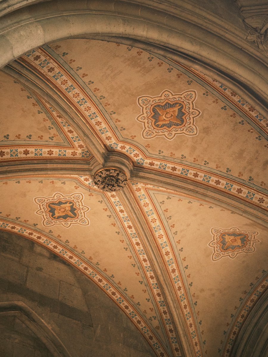 OW_S_M's tweet photo. Vienna proving that Gothic never really went out of fashion. It just waited a few centuries. (Votivkirche, 1856–1879)

#Vienna #Austria #Votivkirche #Architecture #Gothic #Travel #Europe #ArtHistory https://t.co/SCjPWtSFlb