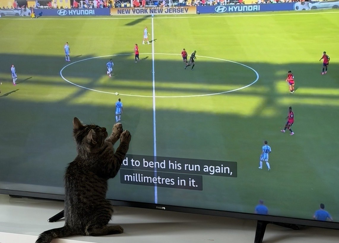 pawkick tweet picture