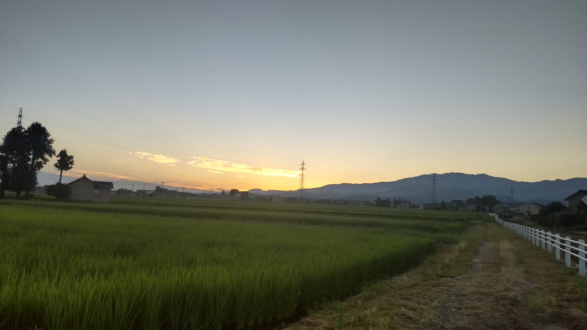 sachii4a's tweet photo. すごく早く起きてしまったので、朝散歩してきた5:30🌞 https://t.co/c1PcDoHPwb