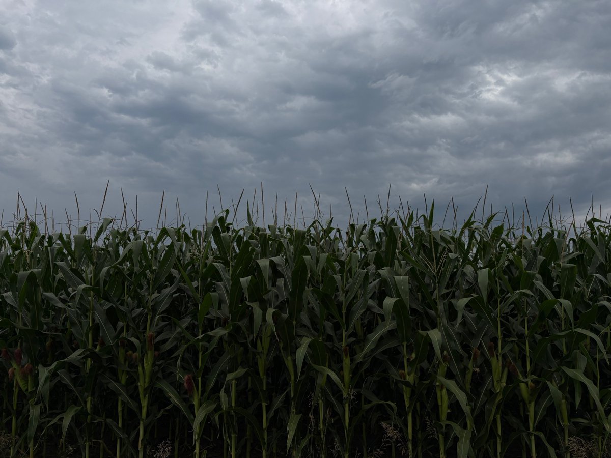 theCropTech tweet picture