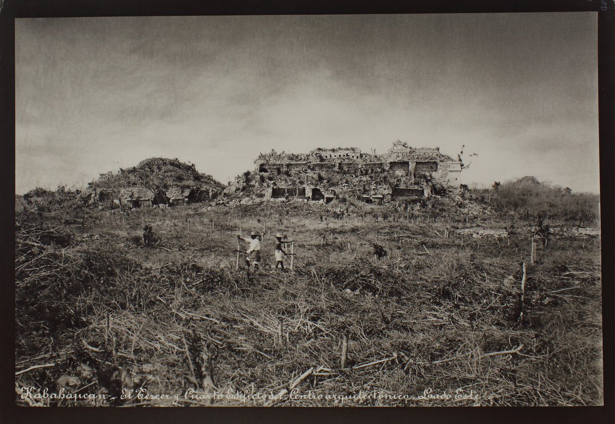 RicardoBSalinas's tweet photo. Hoy en @ColeccionesRSP quiero platicarles que muchos de los antiguos templos mayas sobrevivieron al paso del tiempo no por su reconstrucción, sino gracias a la precisión de una cámara fotográfica.

A finales del siglo XIX, el arquitecto y explorador Teoberto Maler se internó en las selvas de la península de Yucatán. Aunque llegó a México originalmente como soldado, terminó dedicando su vida a documentar con un rigor arquitectónico inédito las ciudades mayas que se encontraban devoradas por la vegetación.

Más que simples postales de exploración, sus placas de cristal y planos minuciosos se convirtieron en un verdadero rescate arqueológico. En muchos casos, los registros visuales de Maler son la única evidencia que nos queda de estelas, relieves y edificios que posteriormente colapsaron o sufrieron saqueos.

Porque la verdadera preservación de nuestro patrimonio muchas veces no empieza moviendo la piedra, sino aprendiendo a observarla y documentarla.

Hoy les comparto un poco del archivo fotográfico de Teoberto Maler en la zona maya.

#TeobertoMaler 
#ArqueologíaMaya 
#PatrimonioFotográfico