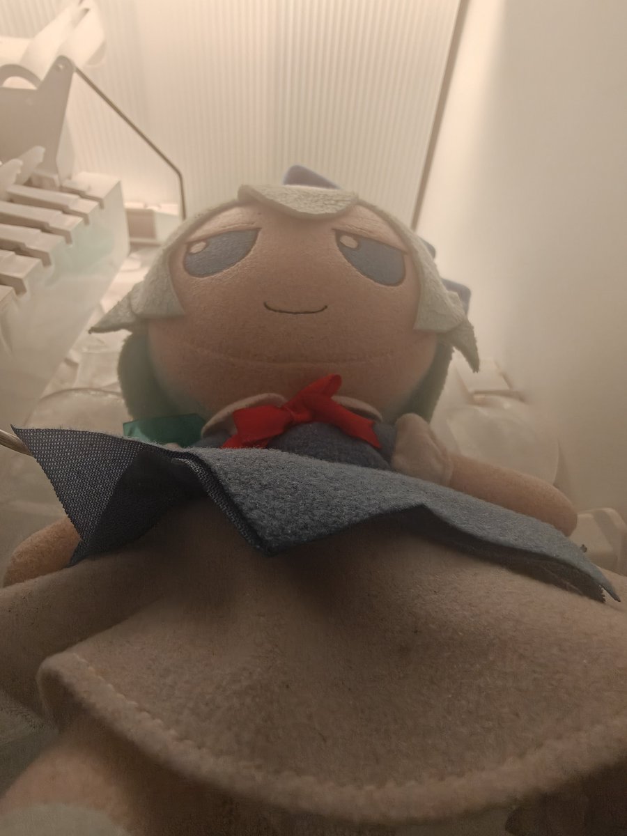 CirnoTV's tweet photo. https://t.co/hBmlco56Z3