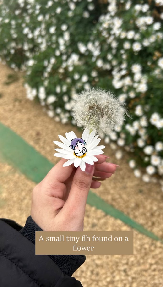 artstyfishie's tweet photo. Tiny fih found in the nature 
#rafayel https://t.co/91Yd6nCGVu