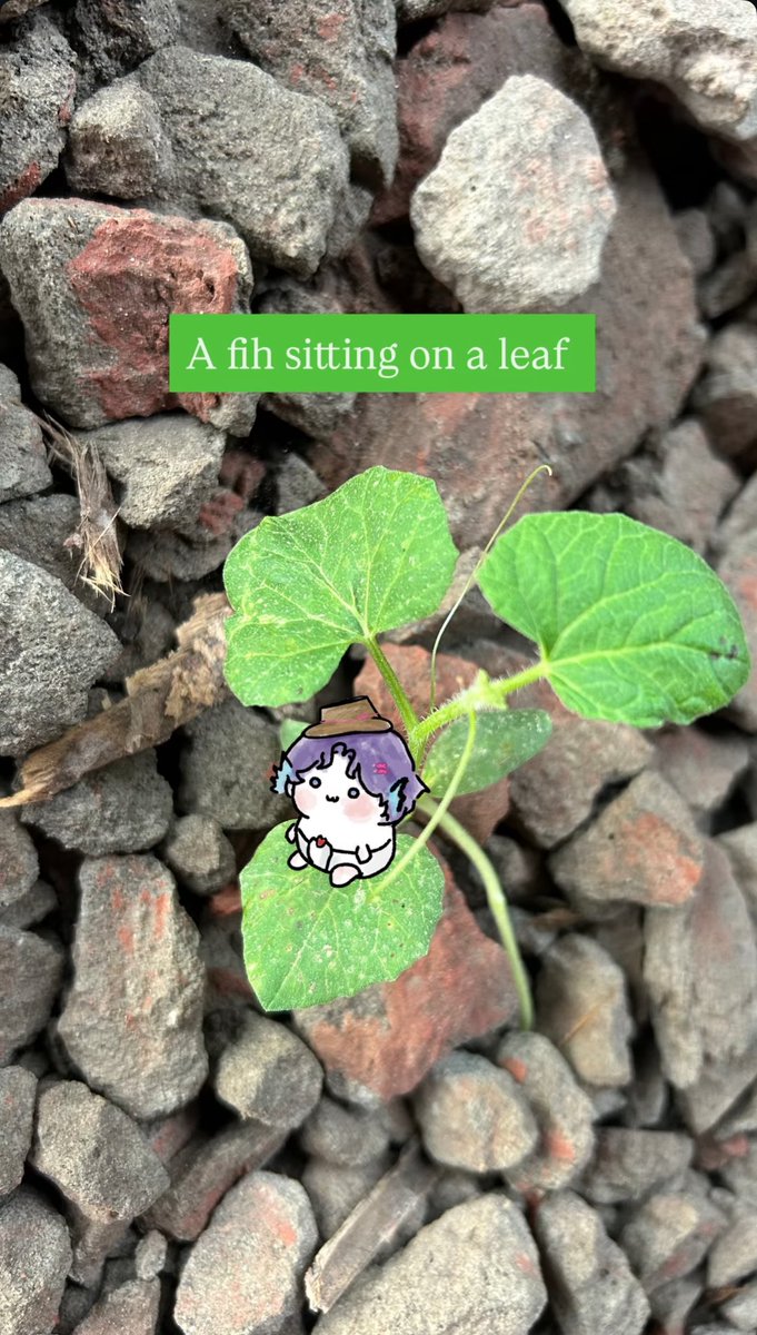artstyfishie's tweet photo. Tiny fih found in the nature 
#rafayel https://t.co/91Yd6nCGVu