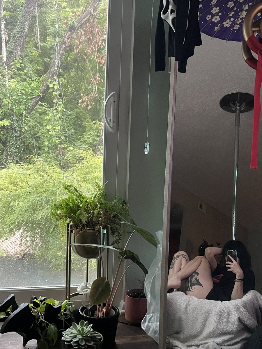 Melincholyz's tweet photo. Love my bbys 🌿🌱
#plantmom #TattooedCurves #nsfwtwtًً https://t.co/pLZdaNFIFF