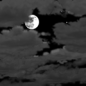 FZalfredo69's tweet photo. Pronóstico para la noche de hoy Jueves en Piedras Negras Coah: Cielo parcialmente nublado a nublado al amanecer y templado, temperatura mínima en los 27°c índice de calor 31°c, viento NE 5 a 10 km/h cambiando después de medianoche del SE. https://t.co/TLzLE1zDXz