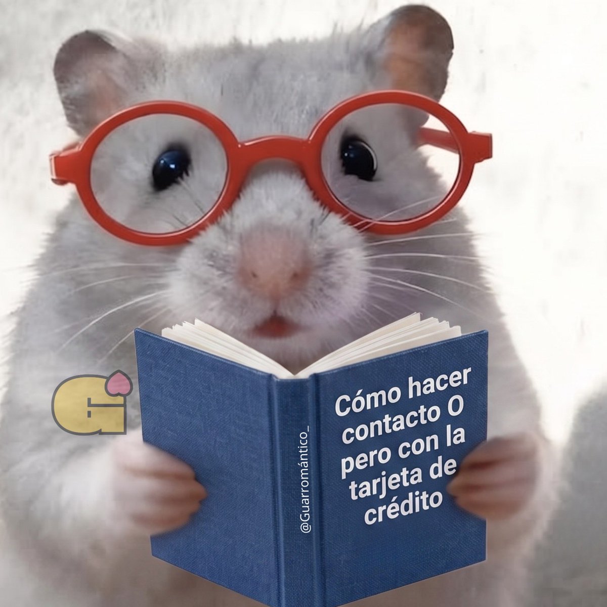 Guarromantico_'s tweet photo. Ocupo. https://t.co/ZKdZP5pNKk