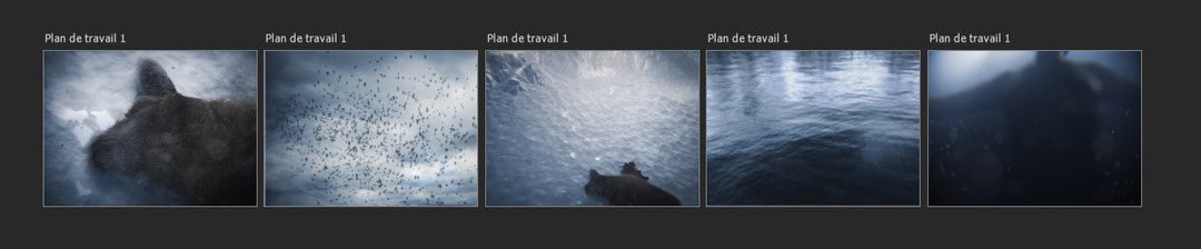 Raeimie's tweet photo. Voilà un peu l’évolution ! 😋☝️ https://t.co/Bc3s5MD1rE