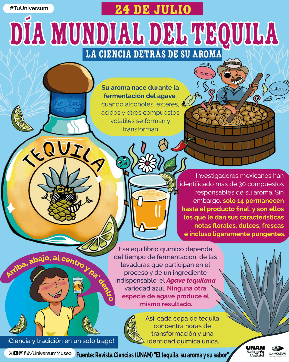 UniversumMuseo's tweet photo. #UnDíaComoHoy es el Día Internacional del Tequila. 🍋🧂🇲🇽
Conoce más sobre su historia. 🤩👇

#TuUniversum https://t.co/Vmx7LbRRiP