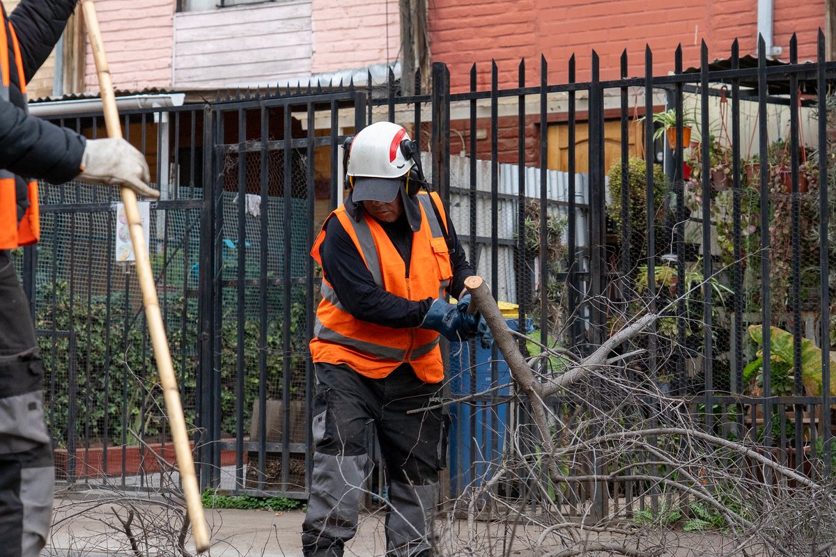 MuniLaFlorida's tweet photo. 🪾Seguimos trabajando por la seguridad de nuestros vecinos!

Equipos municipales realizaron labores de poda de árboles en las calles El Cristal, La Arena y El Mármol, una tarea clave frente al sistema frontal de lluvias y vientos.

La Florida #CadaVezMejor 💚 https://t.co/DO6EBr0uCF