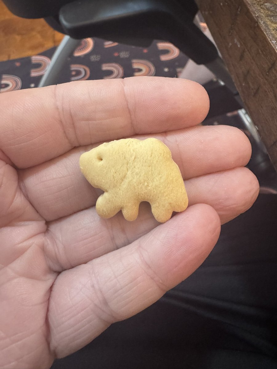 grantsinning's tweet photo. Can’t believe there’s already a Jimothy animal cracker https://t.co/rndpDwTmQ2