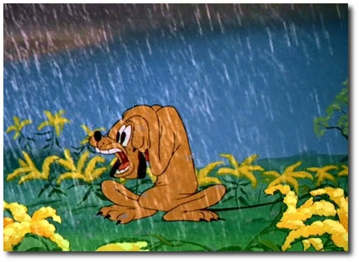 SophieTucker88's tweet photo. A Happy 82nd Anniversary to the Pluto short, Springtime for Pluto! #Pluto #Disney https://t.co/ounlQIDTIu https://t.co/BMMRHjq8rU