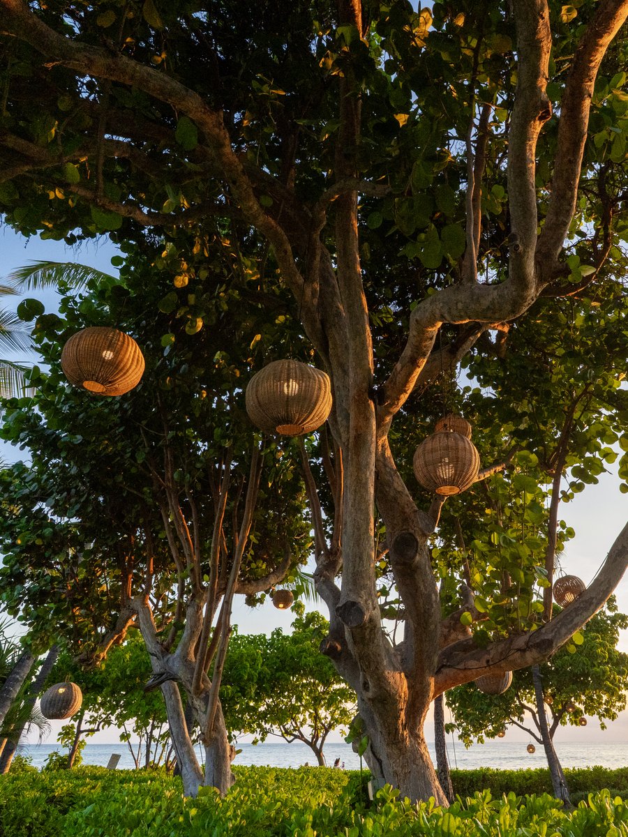 KoOlinaResort's tweet photo. Taking an early evening stroll through our #placeofjoy...
pc: Chris Jacobus Photography https://t.co/5uzzjeWl8Q