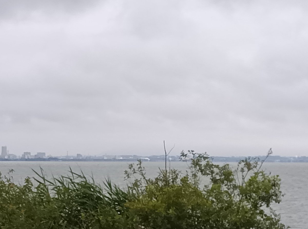 acor125's tweet photo. 今日の霞ヶ浦湖畔。現在、曇り・北東の風が吹いています。筑波山は見えません。まとわりつくような湿度で、不安定な空模様の予報です。路面は乾いており走行可能です。チャリの方は雨宿りポイントを確認してお出掛け下さい。
#霞ヶ浦 
#サイクリング https://t.co/c3Nn35AWfu