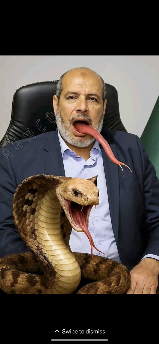 David62575607's tweet photo. 🚨🚨💥💥

اقذر من الحمساوي لم تلد أرحام النساء  

المجرم الثعبان خليل الحية ينهق من قطر 🇶🇦 بمناسبة تعيينه زعيم لعصابة حماس الإيرانية الاخونجية الشيطانية 

ليشكر ربه ايران والحوثي الهاشمي ذيل ايران 

في عز اعتداء ايران على الخليج والأردن بمن فيهم قطر التى يقيم فيها🤮 https://t.co/ZkdsZm70A4