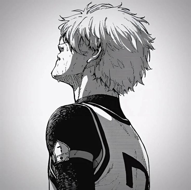 Howlongnonagi's tweet photo. It's been 457 days and 57 chapters since nagi left Blue lock and 381 days since epi-nagi ended https://t.co/p2UPZ71dJK