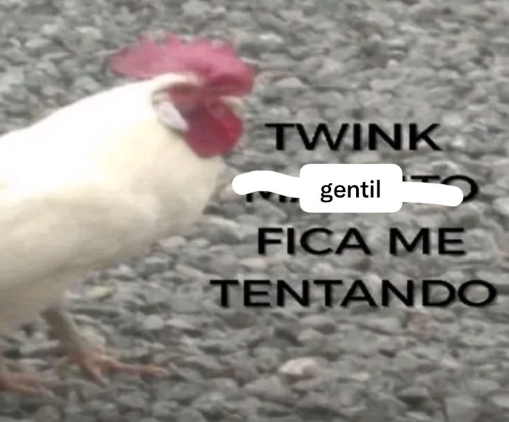 ceodopaiol's tweet photo. #gentiltwt https://t.co/PAwPLaclss