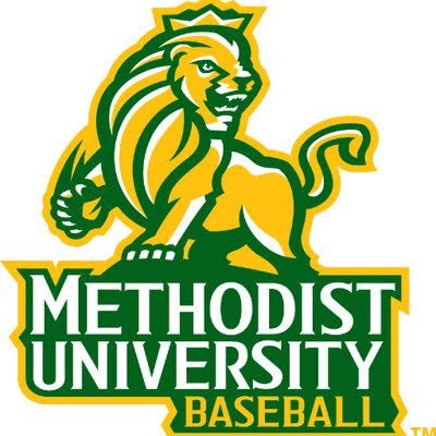 jonwestin_Beams's tweet photo. After a great camp and conversation with Coach Martin and Coach Teem, I am blessed to say I have received my first college offer from Methodist University! I am beyond thankful for this opportunity! 
#co2027 #baseball #AGTG @SpencerMartin27 @zachs_teem25 @MethodistU_BSB @rebs_bsb @ScorpNationSE