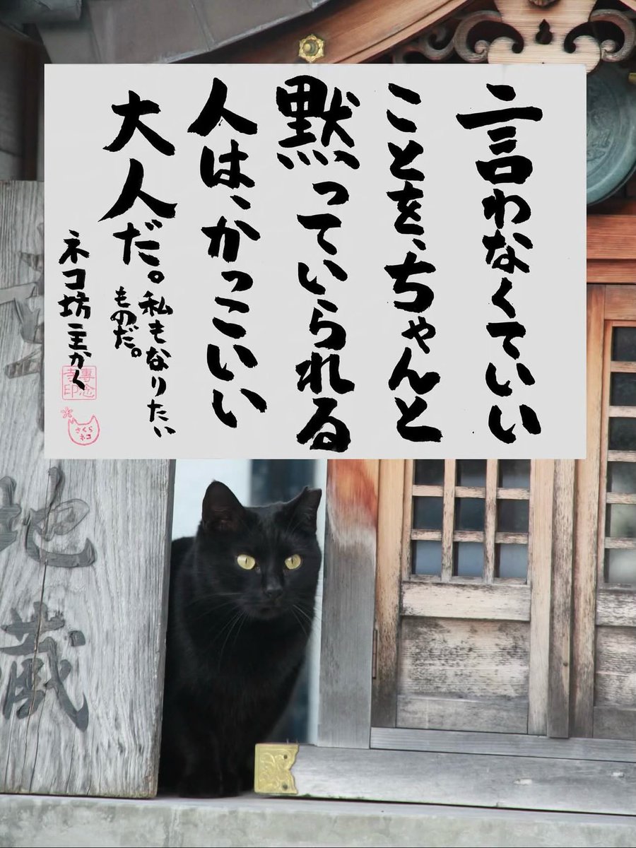 yabumoto610's tweet photo. ネコさんから人間さんへ今日の一言 https://t.co/43xL6zxBmu