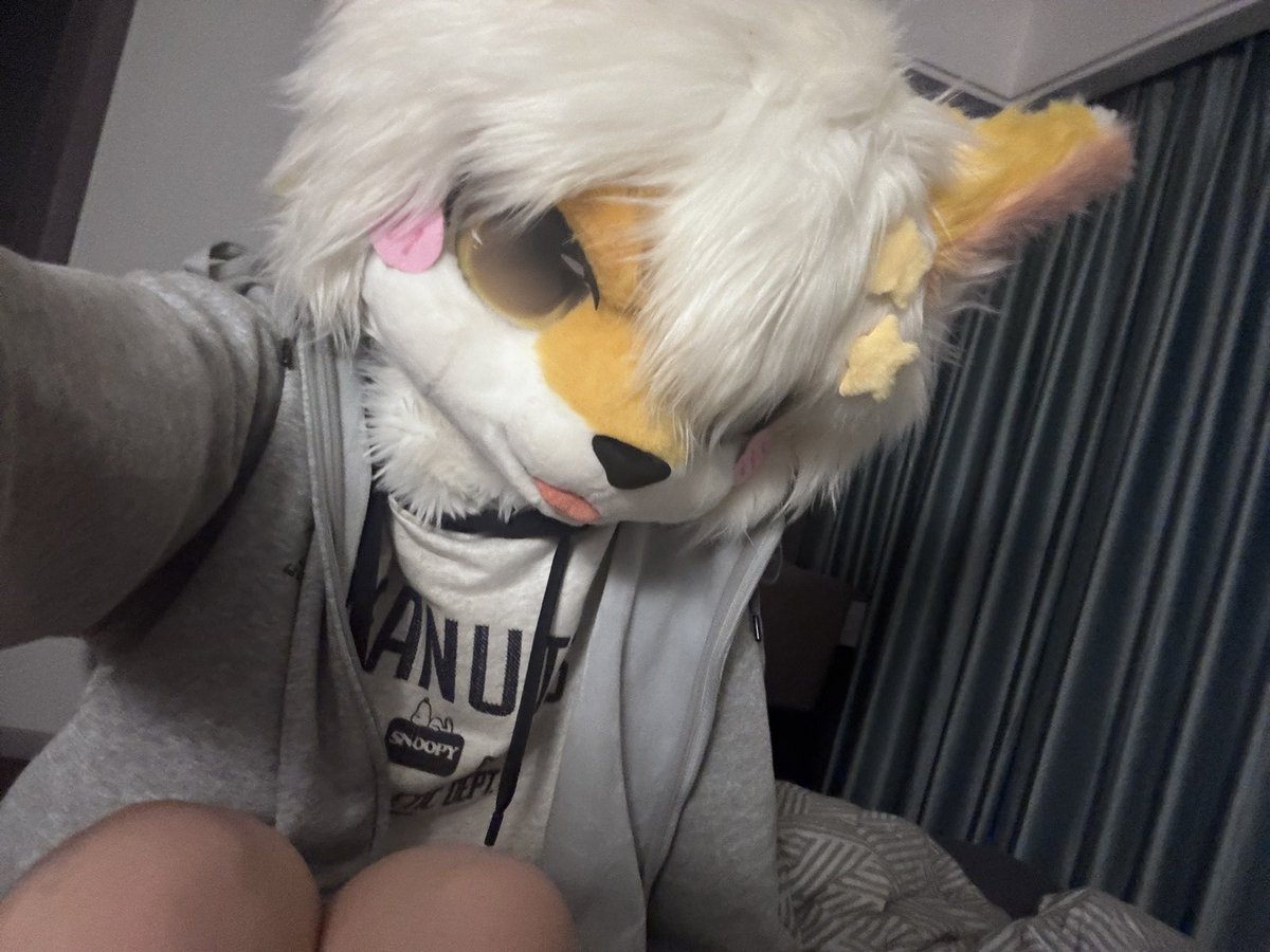 mo1145mo's tweet photo. #furry  好无聊 https://t.co/gmQpb5QLLm