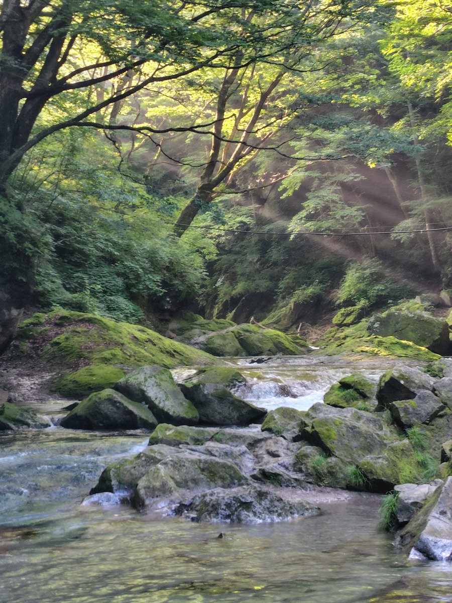 yu___narunaru's tweet photo. 那須！ https://t.co/PpRZNXnPws