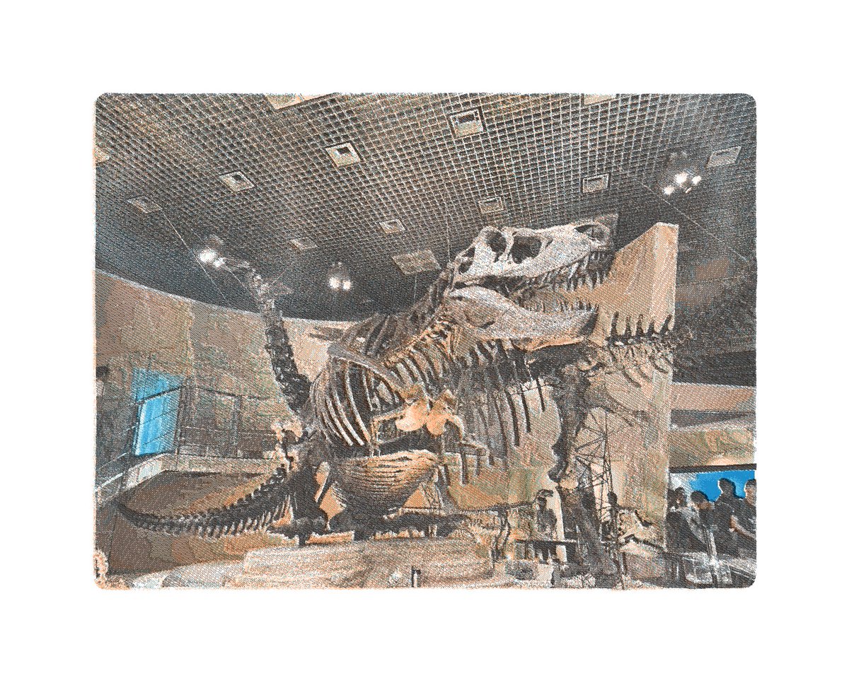 _cy_148_'s tweet photo. 気になってしてみたけど可愛いすぎる🦖⸒⸒ https://t.co/pn0MbiKHxY