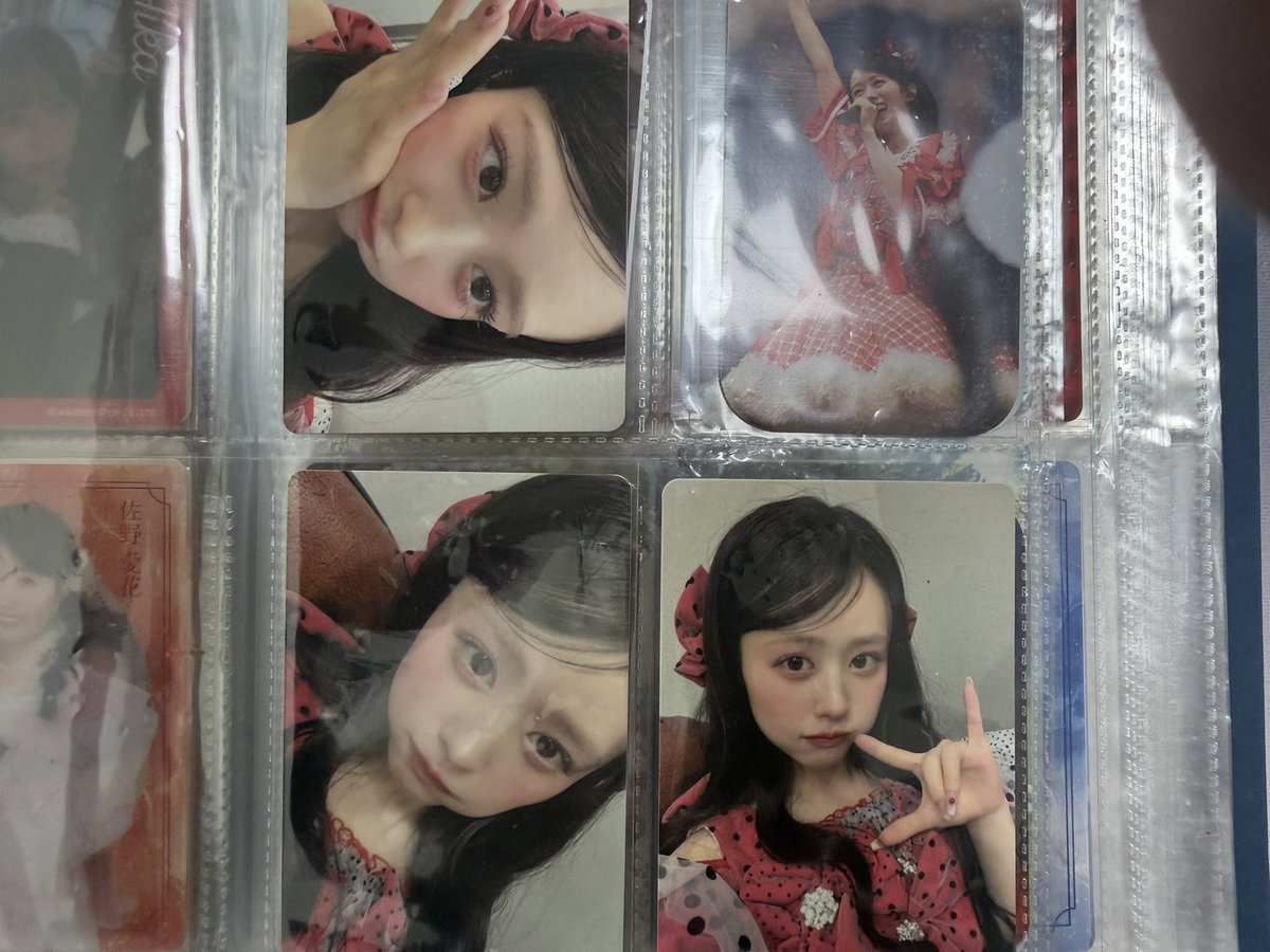 ayanosarangdan's tweet photo. 欲しかったトレカ、全部コンプリートできました！💙❤️🩷 https://t.co/tYqOpEhUIG