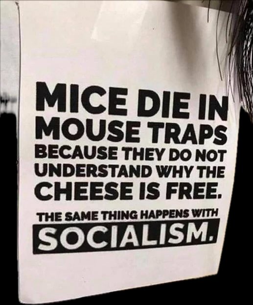 mschellhorn710's tweet photo. Spread the word https://t.co/YOl6zXDUYa