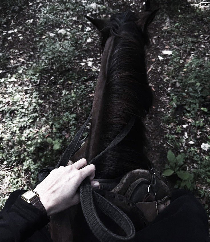 M0NTYSM's tweet photo. ᅟᅟᅟᅟᅟᅟᅟᅟᅟ
Dia de treinar os novos cavalos da hípica, uma boa cavalgada com o Monty e, no fim, colocar os estudos em dia. 
ᅟᅟᅟᅟᅟᅟᅟᅟᅟ https://t.co/qq6RjIrYpQ