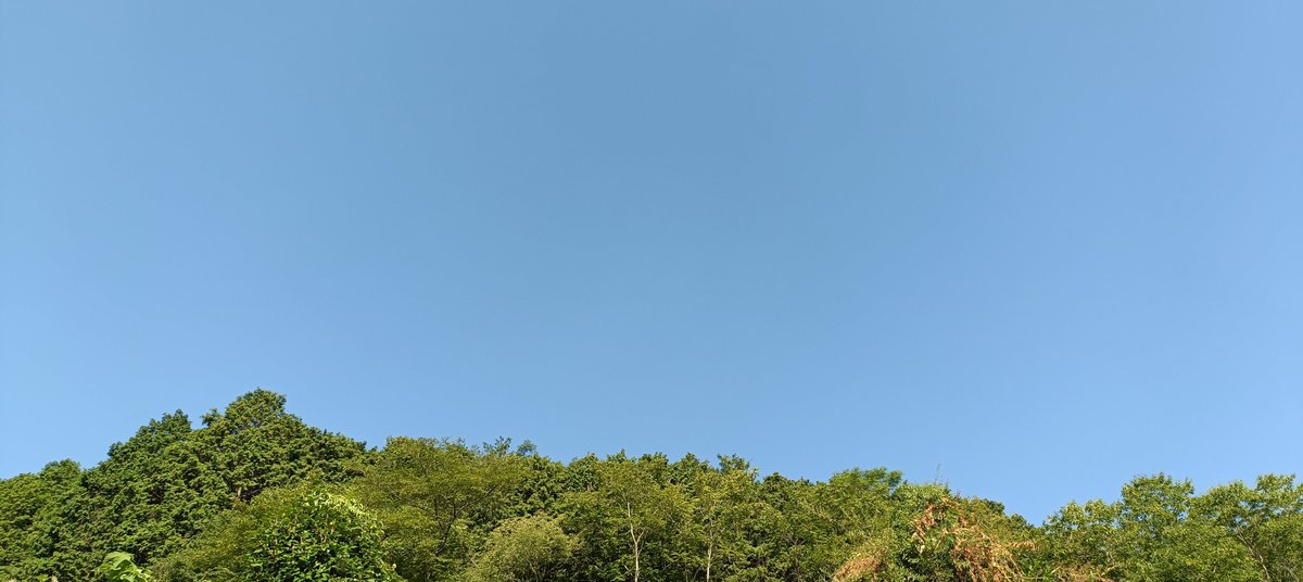 minekait's tweet photo. 本日の美作市の天気晴れ☀️ https://t.co/9GHxKyDkNc