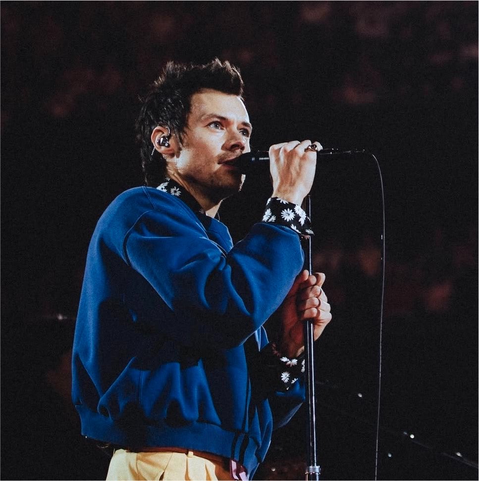 Harry Styles Brasil 🪩 tweet media