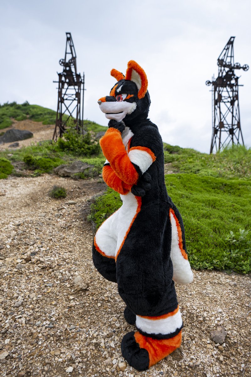 Akari_SW's tweet photo. Hmm...
#FursuitFriday
#灯せアカリ https://t.co/LAPPqk9W6f