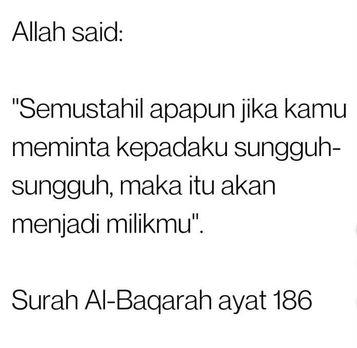kapten__monyet's tweet photo. 🤍🕊️ https://t.co/040vgD8Viz